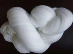 �w�S���V�����a(ch��n)�S(ch��ng)��-ˮ̎���w�S�����σr(ji��)��