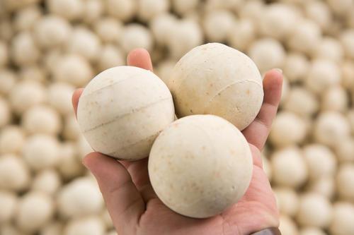 <a href='http://www.jianxianggongyi.cn/ml/71.html' target='_blank'><u>高鋁蓄熱球生產廠家</u></a>