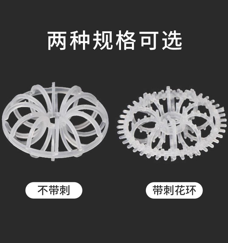 ���h�������a�S��